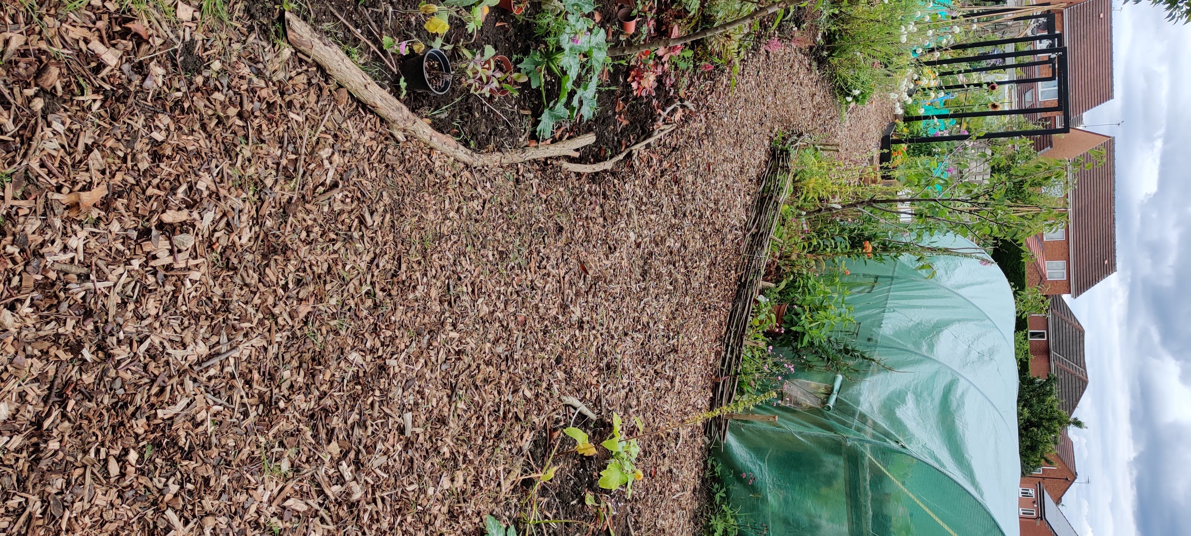 Portrait view of the allotment