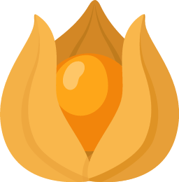 Cape Gooseberry sprite