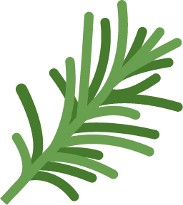 Rosemary sprite