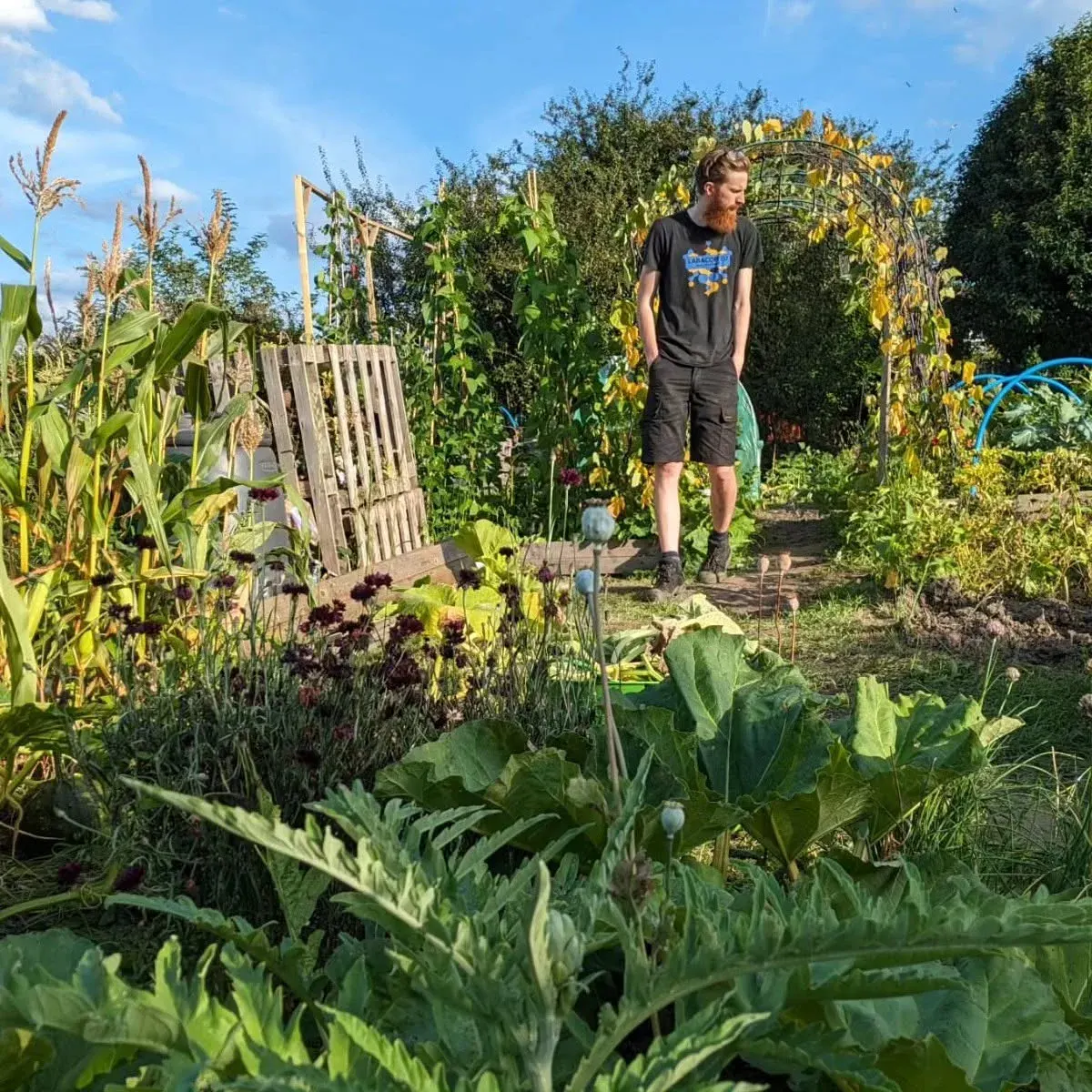 Jamie in the garden behind SeedSort